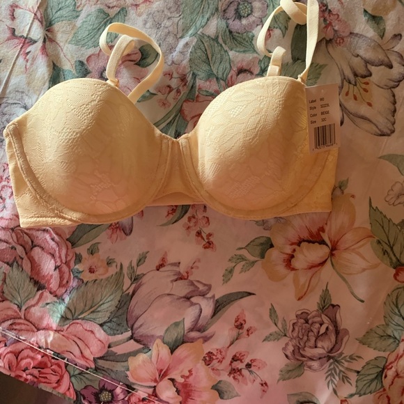 Secret Treasures Womens Elegant Cream Lace BracSize 32 C - Picture 1 of 10